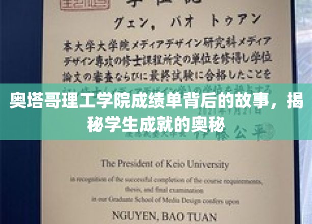 奥塔哥理工学院成就背后，探索学生卓越之路的秘密