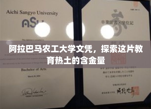 阿拉巴马农工大学文凭，探索这片教育热土的含金量