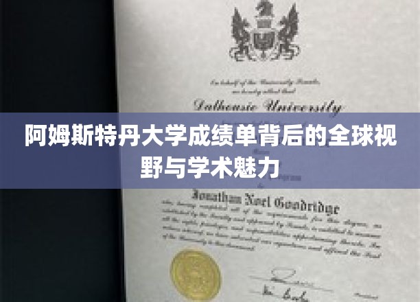 解码阿姆斯特丹大学，成绩单中的世界眼光与学术风采