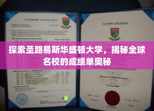 解密圣路易斯华盛顿大学，一窥世界顶尖学府的学术风采