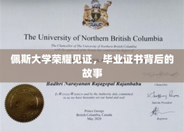 佩斯荣耀时刻，毕业证书背后的非凡传奇