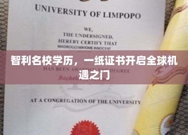 智利名校通行证，解锁世界多元机遇之旅