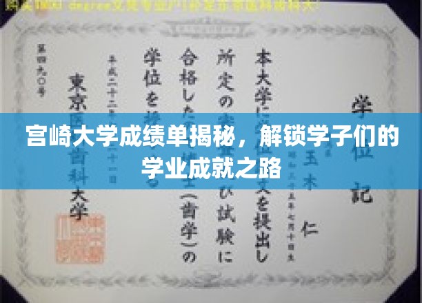 宫崎大学成绩单揭秘，探寻学子们的学业成就之路
