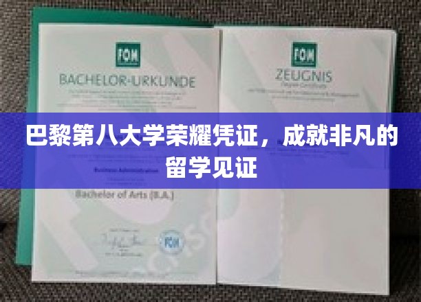 巴黎第八大学卓越印记，留学成就的璀璨见证