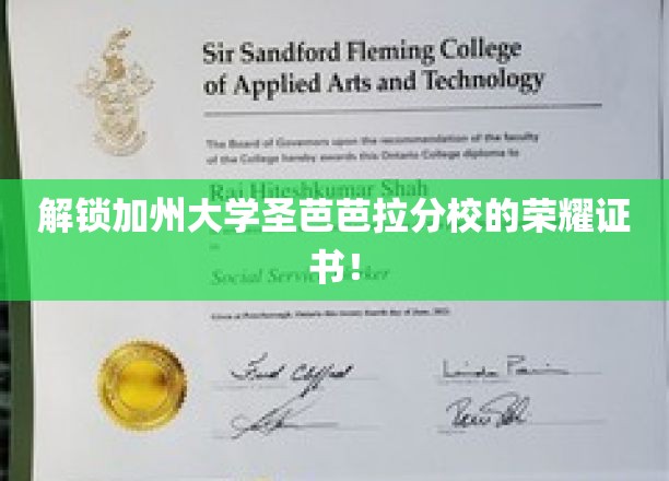 解码圣芭芭拉荣耀，加州大学证书背后的传奇故事