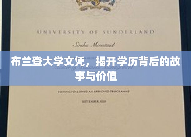布兰登大学文凭揭秘，背后的故事与无形价值解析