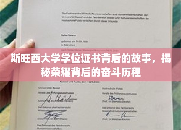 探寻斯旺西大学荣耀证书背后的砥砺前行之路