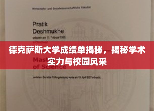 德克萨斯大学成绩单深度解析，揭秘学术实力与校园风采