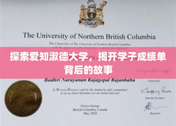 解码爱知淑德大学，揭秘学子成绩背后的成长轨迹