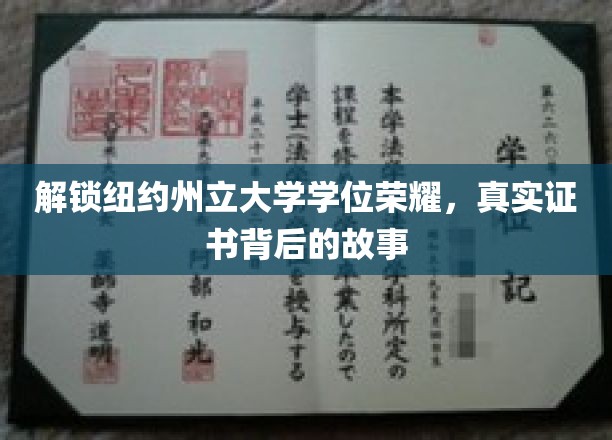 揭秘纽约州立大学学位荣耀背后的故事