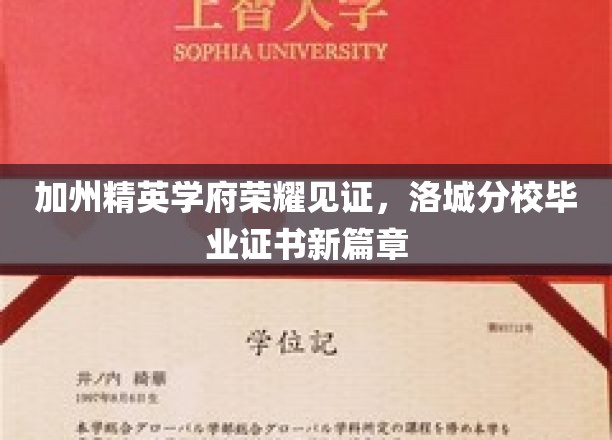 洛城新锐，加州精英学府洛城分校毕业证书开启荣耀新征程