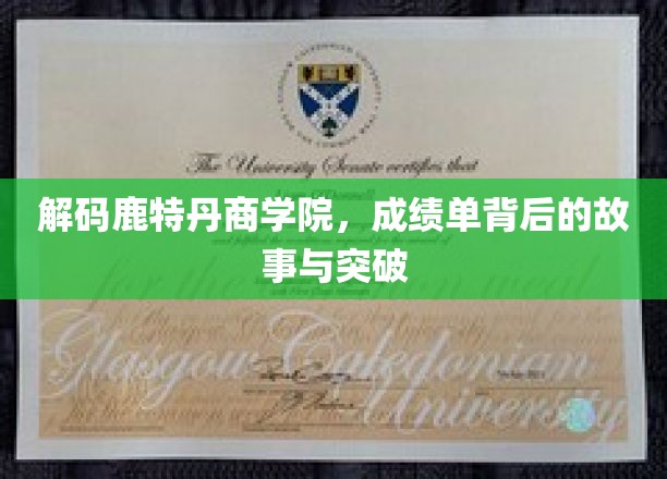 鹿特丹商学院，揭秘辉煌成绩背后的传奇历程与卓越突破
