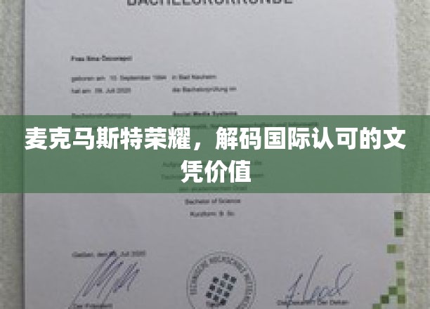 解码麦克马斯特荣耀，国际文凭的非凡价值揭秘