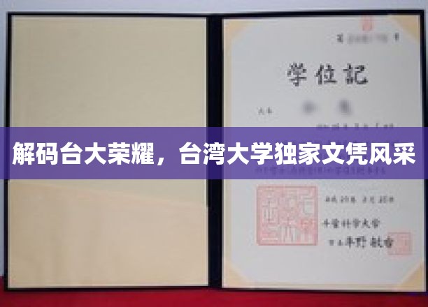 台大风采揭秘，独家文凭背后的荣耀之路
