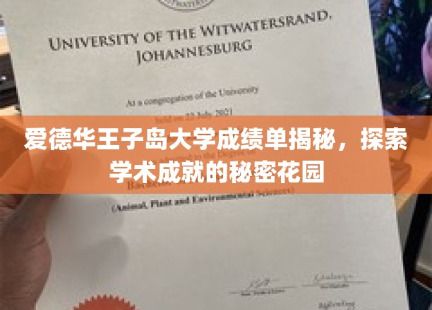 爱德华王子岛大学成绩单解析，揭开学术成就的秘密花园