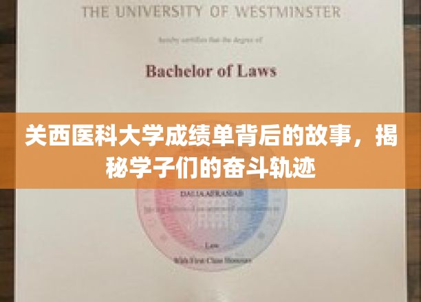 探秘关西医大学子奋斗足迹，一纸成绩单背后的励志篇章