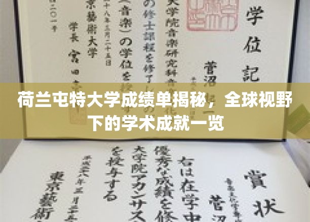荷兰屯特大学学术风采，国际视角中的卓越成就解析