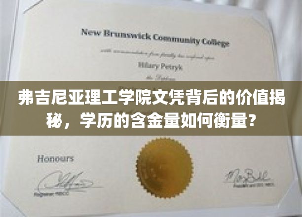 弗吉尼亚理工学院文凭背后的价值揭秘，学历的含金量如何衡量？