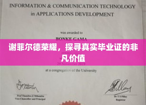 谢菲尔德荣耀，探寻真实毕业证的非凡价值
