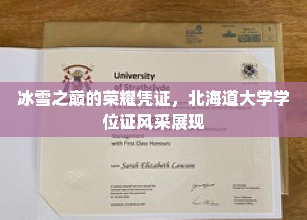 冰雪之巅的荣耀凭证，北海道大学学位证风采独树一帜
