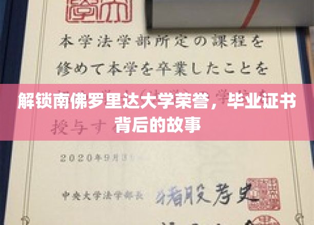 揭开南佛罗里达大学荣耀证书的神秘面纱