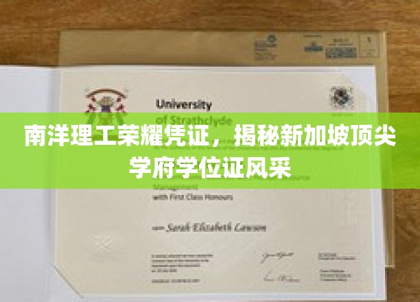 新加坡南洋理工，学位证书背后的荣耀风采大揭秘！