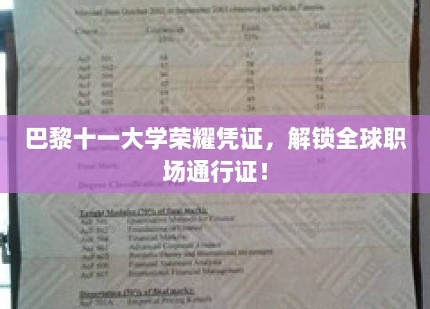 巴黎十一大学高光成就，助力全球职场精英之路