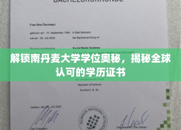 揭开南丹麦大学学位魅力，探索国际认可的学术成就
