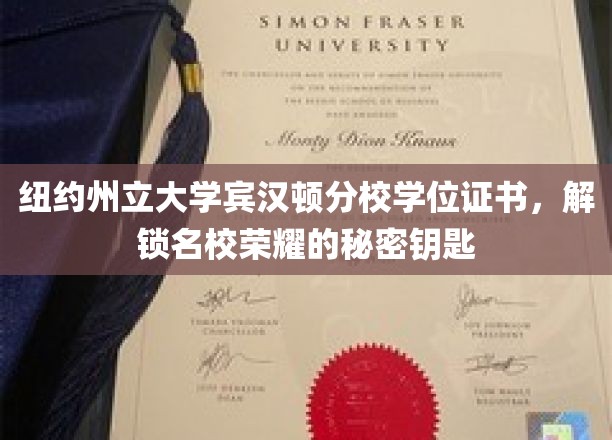 名校荣耀之门，纽约州立大学宾汉顿分校学位证书，解锁荣耀的神秘钥匙