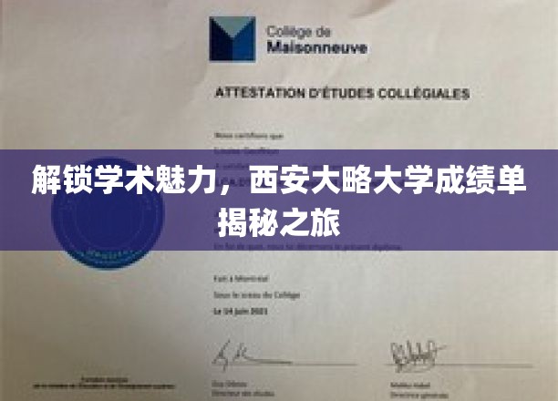 探寻西安大略大学成绩单背后的学术奥秘