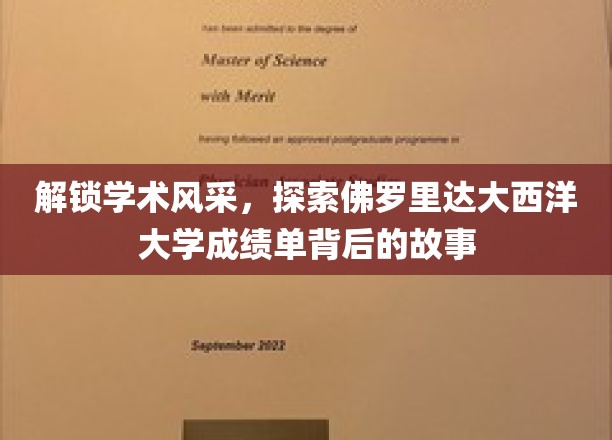 解码佛罗里达大西洋大学，揭开学子成就的神秘面纱