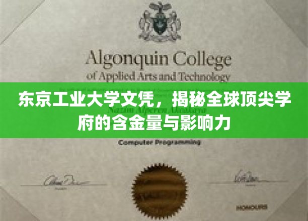 东京工业大学文凭，揭秘全球顶尖学府的含金量与影响力