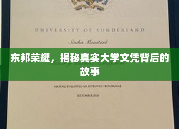 东邦学府传奇，揭开文凭背后的不凡篇章
