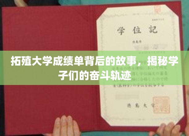 拓殖大学成绩单背后的故事，揭秘学子们的奋斗轨迹