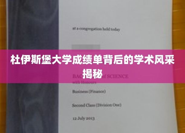 解码杜伊斯堡大学，成绩单背后的学术魅力一瞥