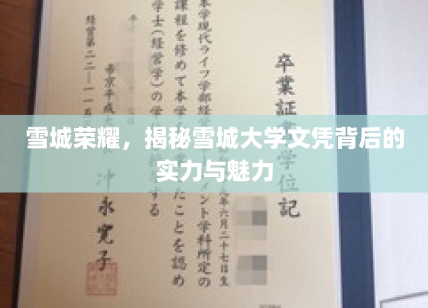雪城大学文凭之谜，探秘荣耀背后的实力与风采