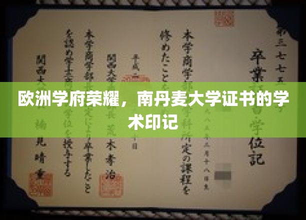 北欧之光，南丹麦大学证书，开启学术荣耀之旅