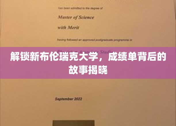 揭开新布伦瑞克大学成绩单背后的独特篇章