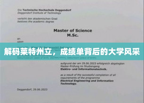 探索莱特州立，揭开学术卓越与校园魅力的双重密码