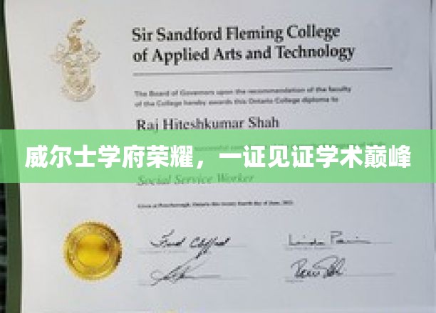 威尔士名校璀璨，证书铸就学术巅峰荣耀