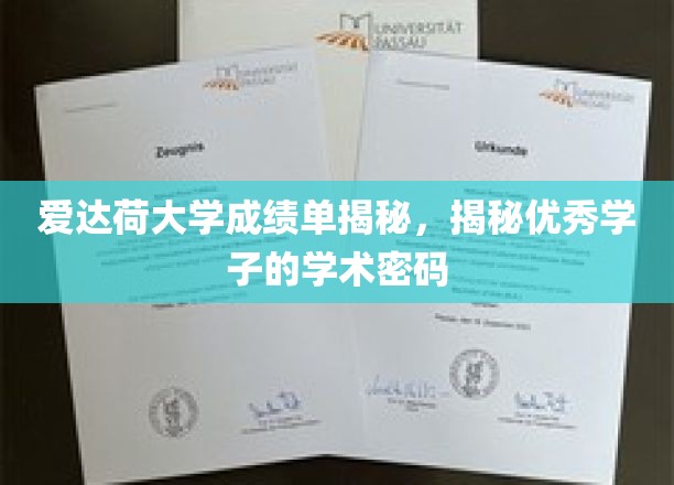 爱达荷大学成绩单揭秘，揭秘优秀学子的学术密码