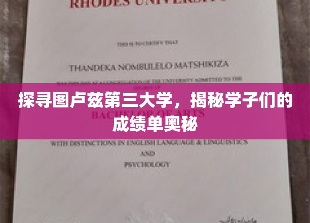解码图卢兹第三大学，学子成绩单背后的秘密世界