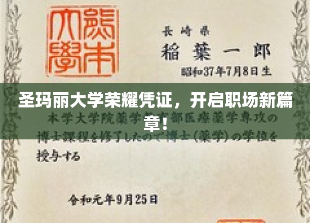 圣玛丽荣耀证书，助你职场飞跃新起点！