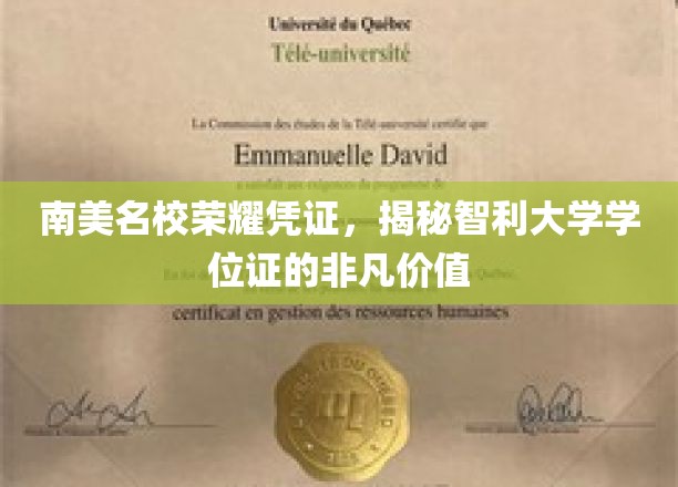 智利大学学位证，南美教育瑰宝，解锁非凡职场通行证
