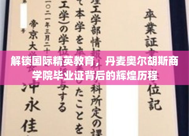揭开丹麦奥尔胡斯商学院毕业证背后的国际精英教育魅力