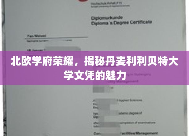 丹麦利利贝特大学，北欧精英教育的璀璨明珠