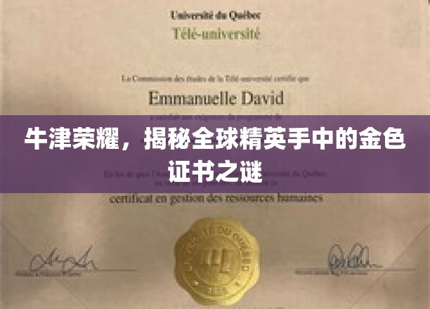 牛津之光，探寻精英手中的神秘金色证书
