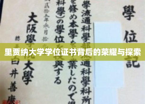 里贾纳大学学位证书背后的荣耀与探索