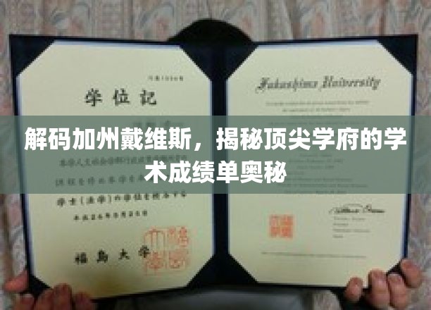 探索加州戴维斯，顶尖学府背后的卓越学术成就秘籍