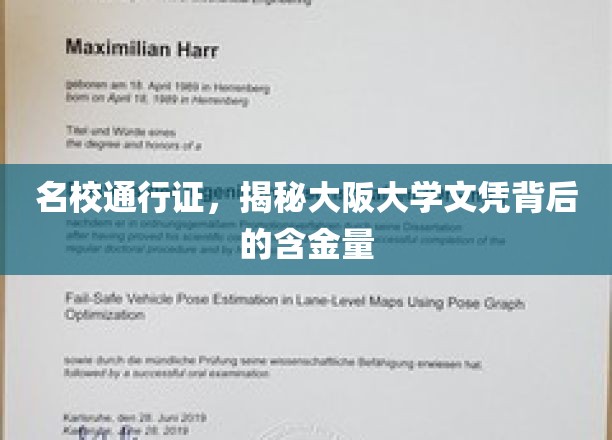 大阪大学文凭，揭秘名校背后的宝贵价值